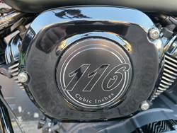 2022 Indian CHIEF DARK HORSE GREEN