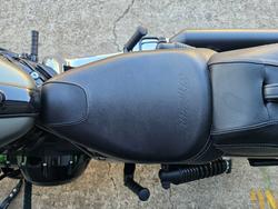 2022 Indian CHIEF DARK HORSE GREEN