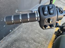 2022 Indian CHIEF DARK HORSE GREEN