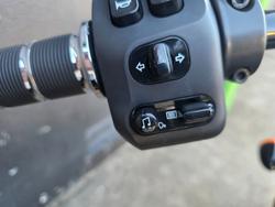 2022 Indian CHIEF DARK HORSE GREEN