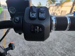 2022 Indian CHIEF DARK HORSE GREEN