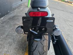 2022 Indian CHIEF DARK HORSE GREEN