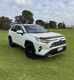 2020 Toyota RAV4 Cruiser