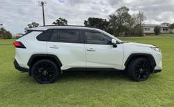 2020 Toyota RAV4 Cruiser
