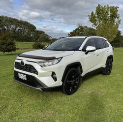 2020 Toyota RAV4 Cruiser