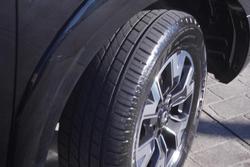 2022 GWM Ute Cannon-L