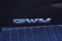 2022 GWM Ute Cannon-L