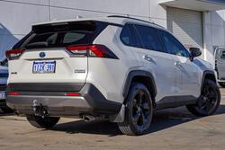 2020 Toyota RAV4 Cruiser