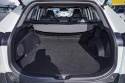 2020 Toyota RAV4 Cruiser