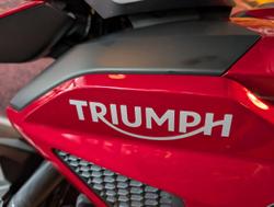 2024 Triumph Tiger 1200 GT Pro Tiger Red