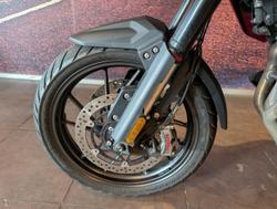 2024 Triumph Tiger 1200 GT Pro Tiger Red