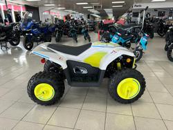 2025 CFMOTO CForce EV110