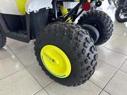 2025 CFMOTO CForce EV110