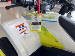 2025 CFMOTO CForce EV110 CForce White