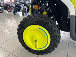 2025 CFMOTO CForce EV110 CForce White