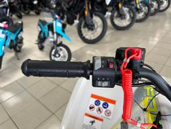 2025 CFMOTO CForce EV110 CForce White