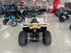 2025 CFMOTO CForce EV110 CForce White