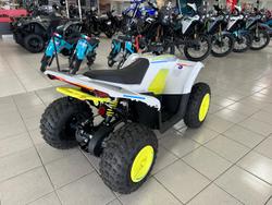 2025 CFMOTO CForce EV110 CForce White