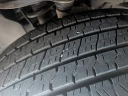 2024 Ford Everest Trend