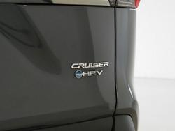 2025 Toyota RAV4 Cruiser