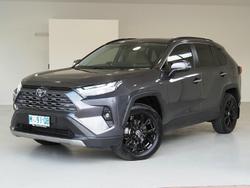 2025 Toyota RAV4 Cruiser
