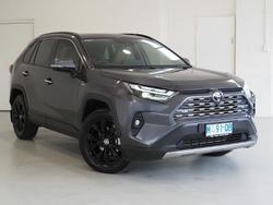 2025 Toyota RAV4 Cruiser
