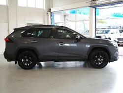 2025 Toyota RAV4 Cruiser