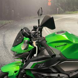 2024 Kawasaki Z500 Green