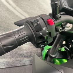 2024 Kawasaki Z500 Green