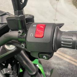 2024 Kawasaki Z500 Green