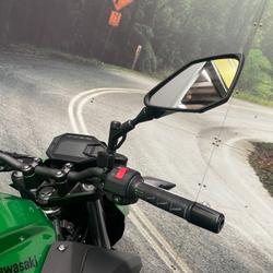 2024 Kawasaki Z500 Green