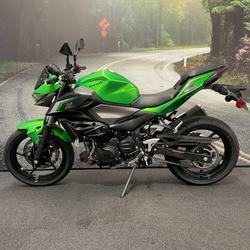 2024 Kawasaki Z500 Green
