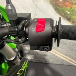 2023 Kawasaki KLX230 Green