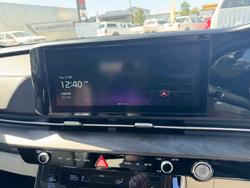 2024 Kia Carnival Platinum KA4 MY23 Panthera Metal