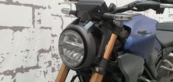 2023 Honda CB300R (CB300RA) CB300 Blue
