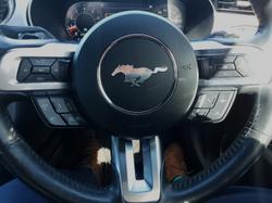 2021 Ford Mustang Mach-E High Performance