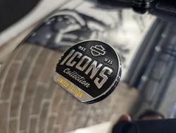 2025 Harley-Davidson Fat Boy Gray Ghost (FLSTFI) Softail Grey