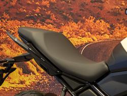 2026 Triumph Tiger Sport 660 Tiger White