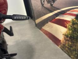 2020 Ducati Monster 821 Monster Red