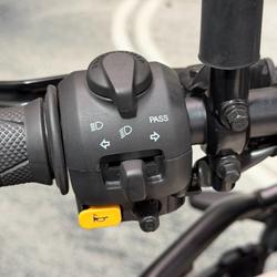 2025 Royal Enfield HIMALAYAN 450 Brown