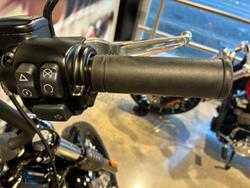 2019 Harley-Davidson Street Bob 107 (FXBB) Softail Black