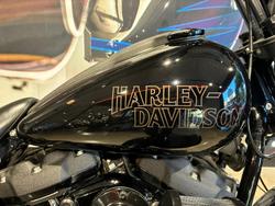 2022 Harley-Davidson Low Rider S 117 (FXLRS) Softail Black