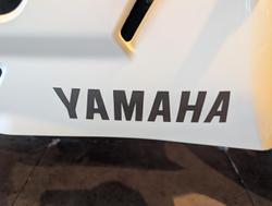 2023 Yamaha YZF-R3 R3 White