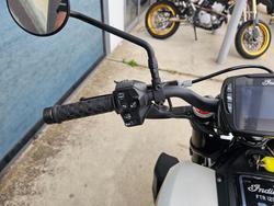 2022 INDIAN FTR 1200 S White