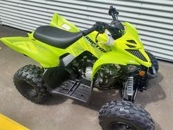 2025 Yamaha Grizzly 110 (YFM110G) Grizzly Green