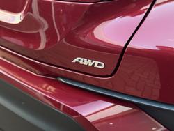 2019 Toyota C-HR (AWD)