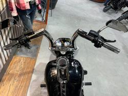 2022 HARLEY-DAVIDSON FLFBS FAT BOY S (114)