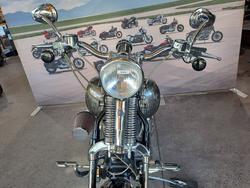 2008 HARLEY-DAVIDSON FXSTSSE S/EAGLE SPRINGER