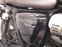 2025 Triumph Bonneville T120 Black Bonneville Black