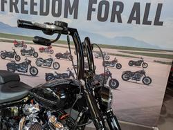 2022 HARLEY-DAVIDSON FXBRS BREAKOUT (114)